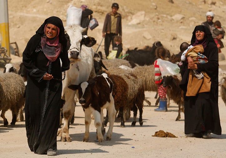 1.1990434-3533582627