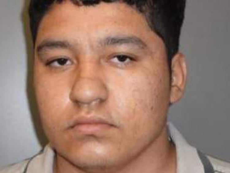 1.1990083-3913702348