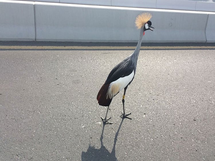 1.1990995-1357628742