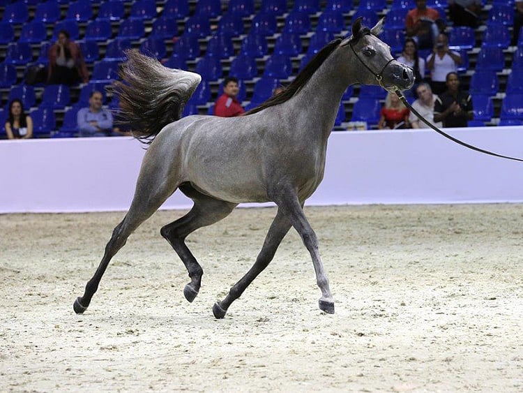 1.1991354-1431144389