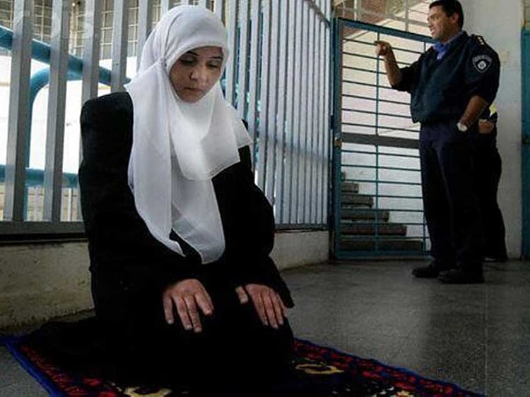 1.1991362-3500726727