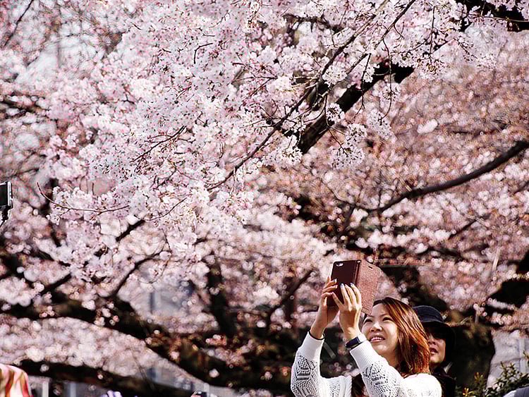 1.2003847-2948158406