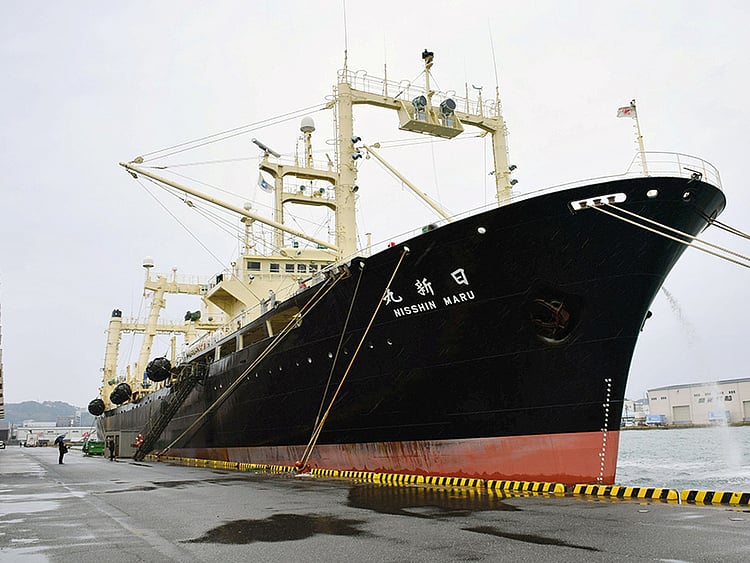 1.2003871-3458174620