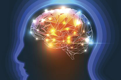 Brain cell linked to high cognitive function in older people identified