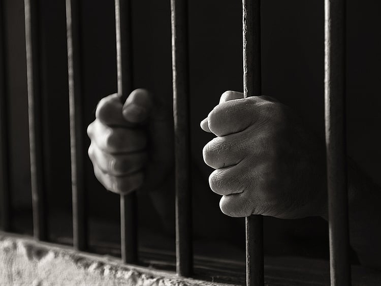 1.2291229-2677329128