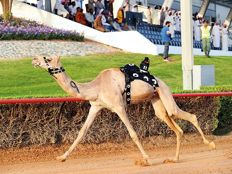 1.2011088-3236708020