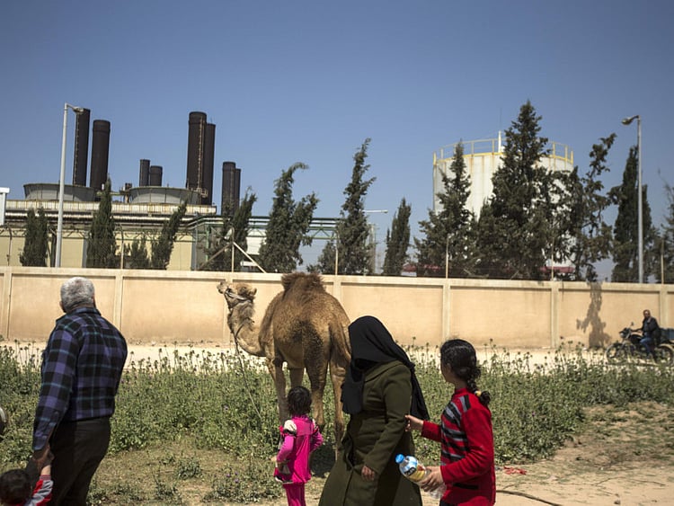 1.2012446-2150128493