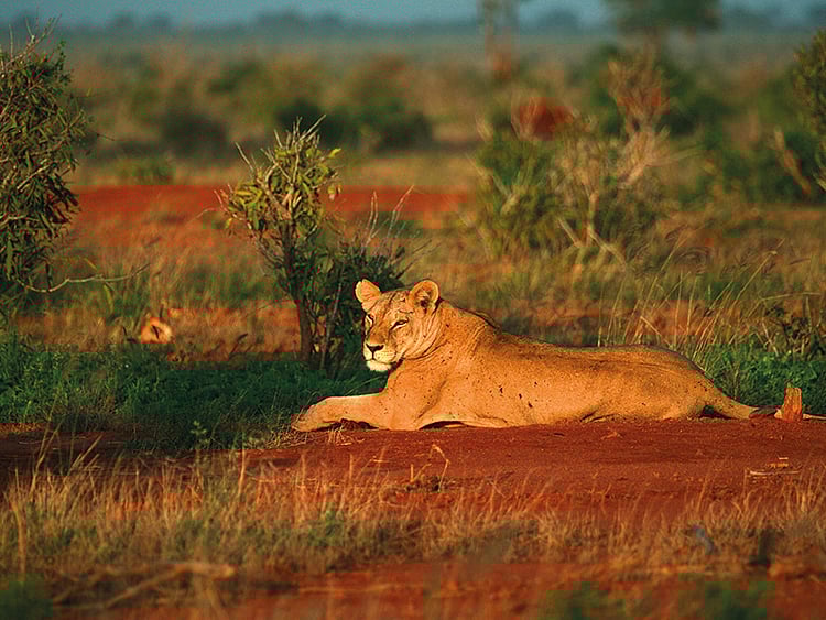 1.2014160-4112611828