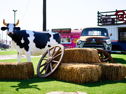 Last Exit D98/Supplied