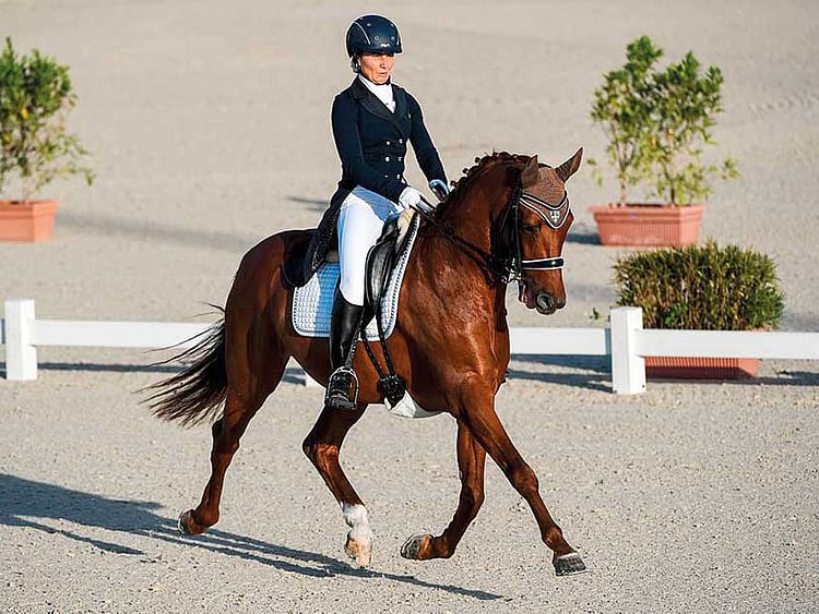 1.2015160-1324209424