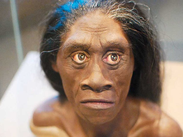 1.2015365-1302249349