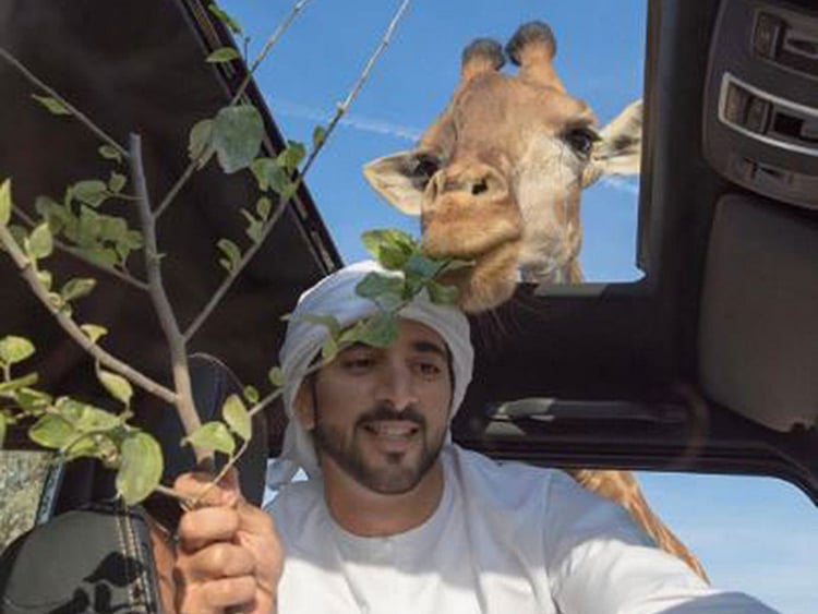 1.2016401-2772736506