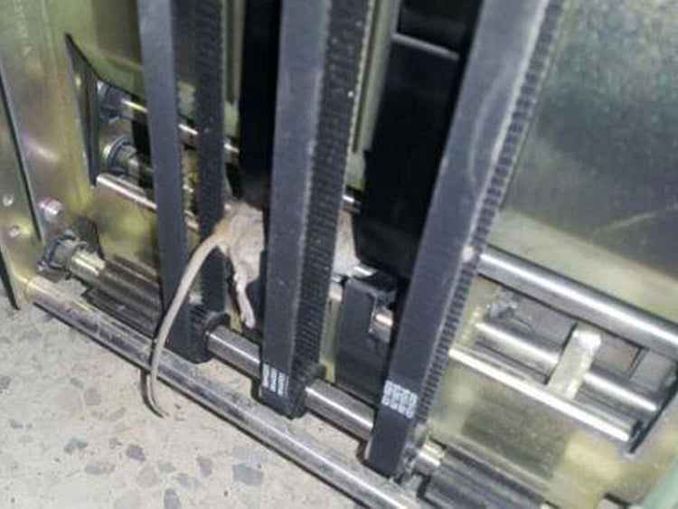 1.2017408-3387250042