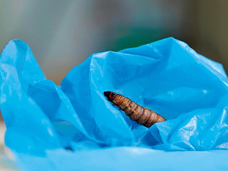 1.2017411-2375414206