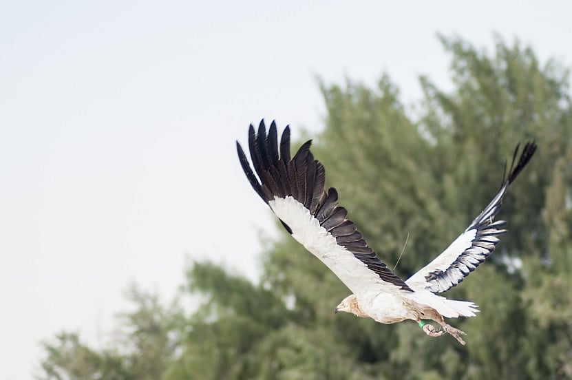 1.2017795-3173745393