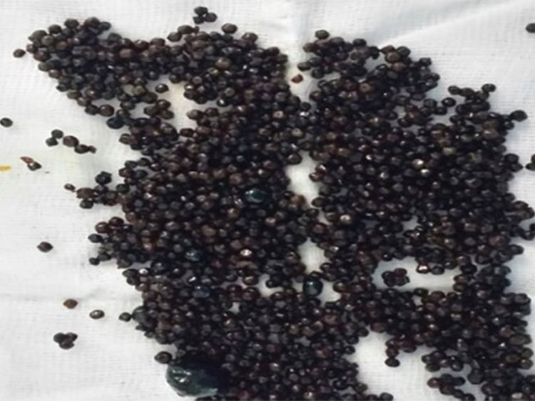 1.2018203-1488227189