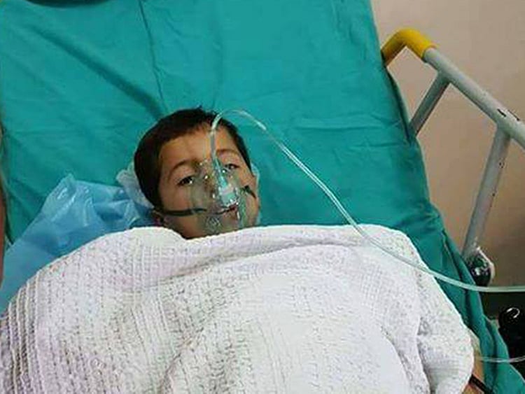 1.2018241-4116347805