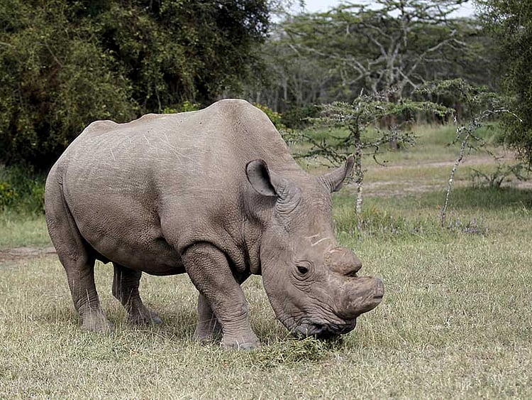 1.2017658-1597636200