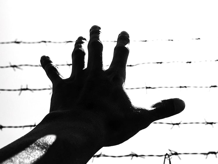 1.2018499-3124417112