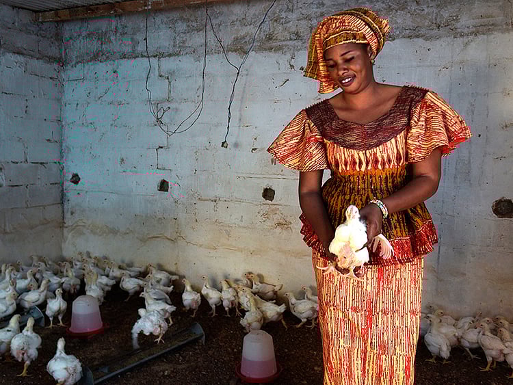 1.2019608-2599098638