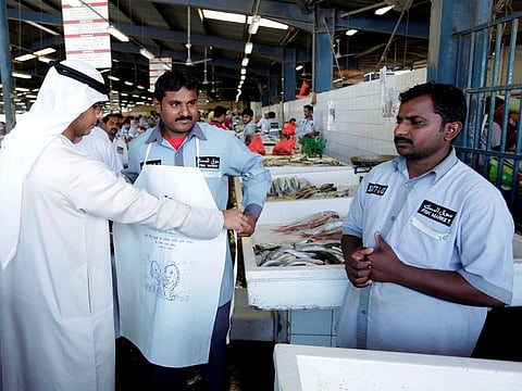 Sheri, Safi fish back in Dubai markets