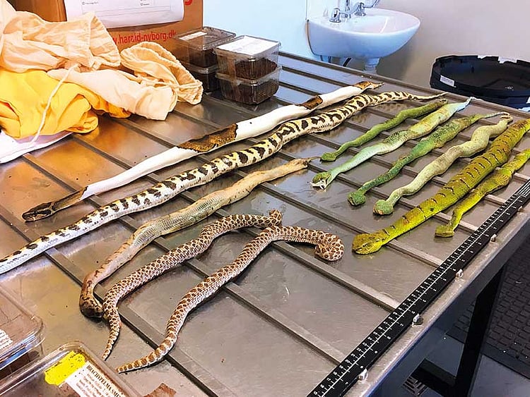 1.2005629-2954806289