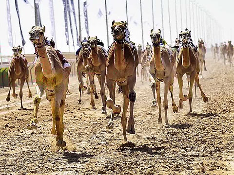 Virendra Saklani/Gulf News