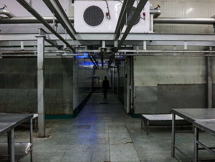 1.2008008-2677626425