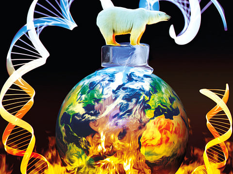Climate change impacting most species on Earth, even down to their genome