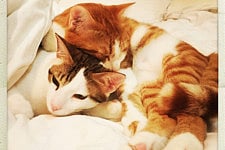 1.2008102-3721394754