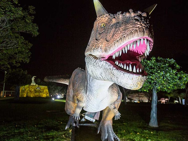 1.2008600-1013501834