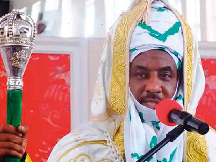 1.2020172-4097204664