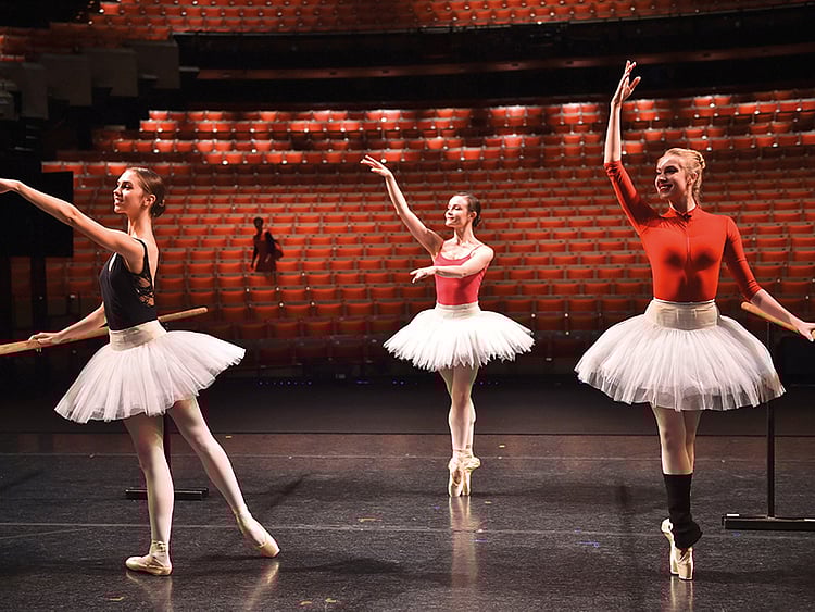 1.2025028-3831751859