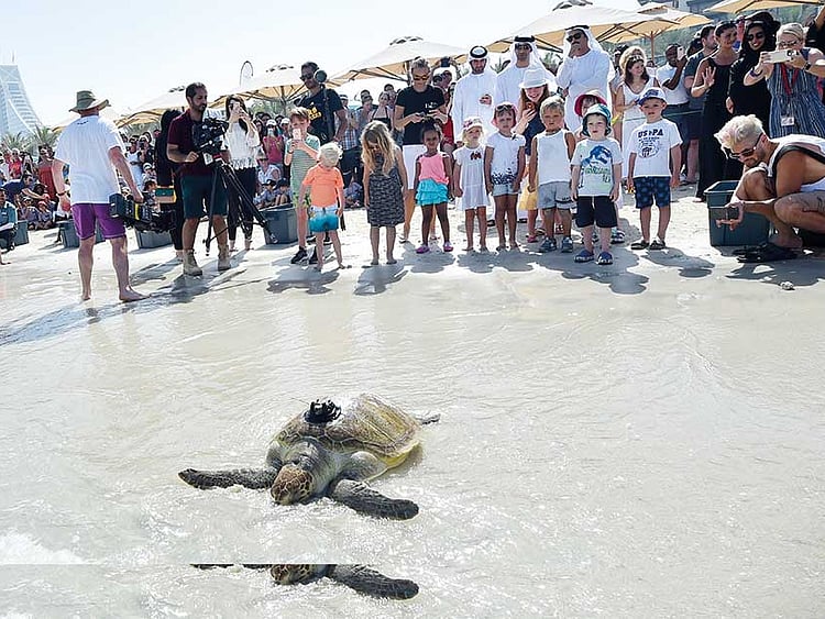 1.2025677-2280555825