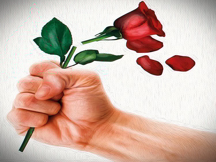 1.2026058-2915088014