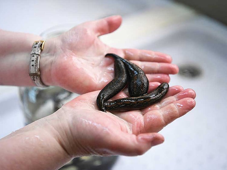 1.2026259-2639443763