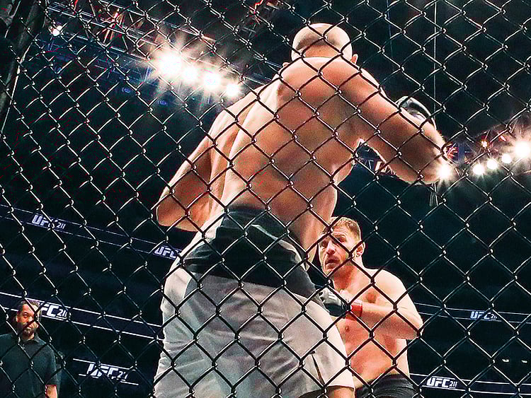 1.2026892-2501262364