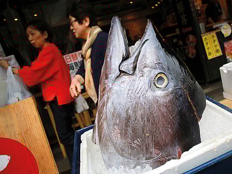 Customers walk past the head of a bluefin tuna in Tsukiji fish market, in Tokyo, Japan on Tuesday.
