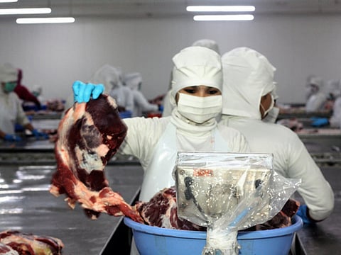 India’s beef exports hit by cow vigilantism