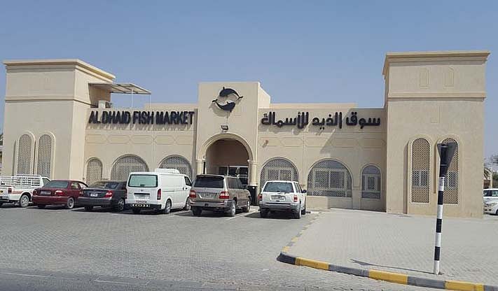 1.2029210-3276659904