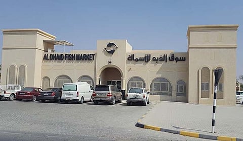 Courtesy: Al Dhaid City Municipality 