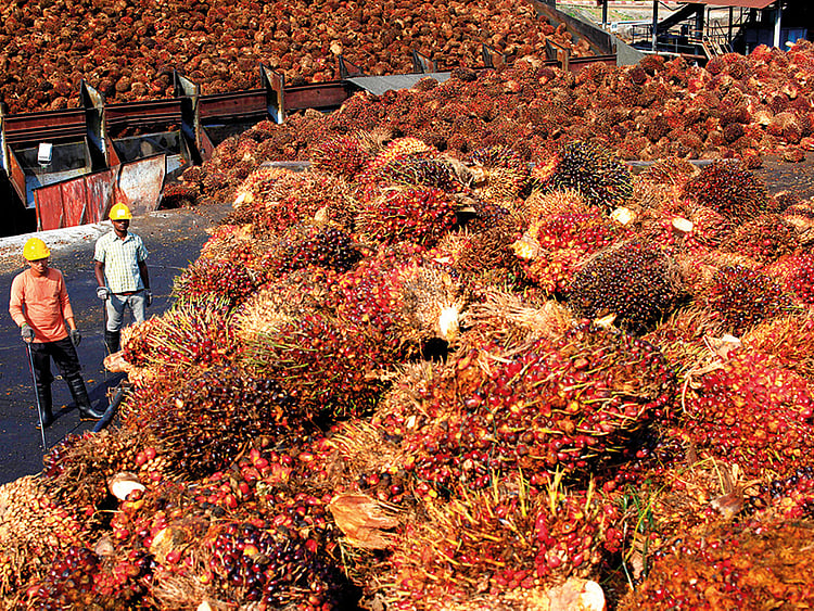 1.2029139-3726720103