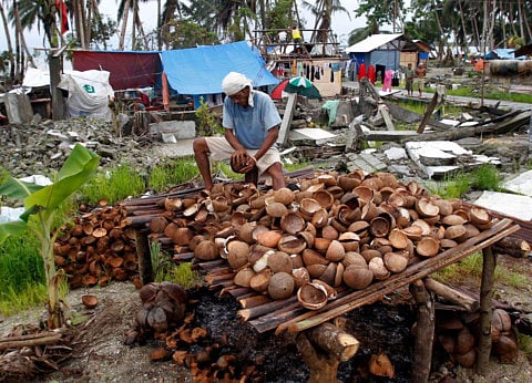 Milking the coconut boom: Phones keep farmers updated