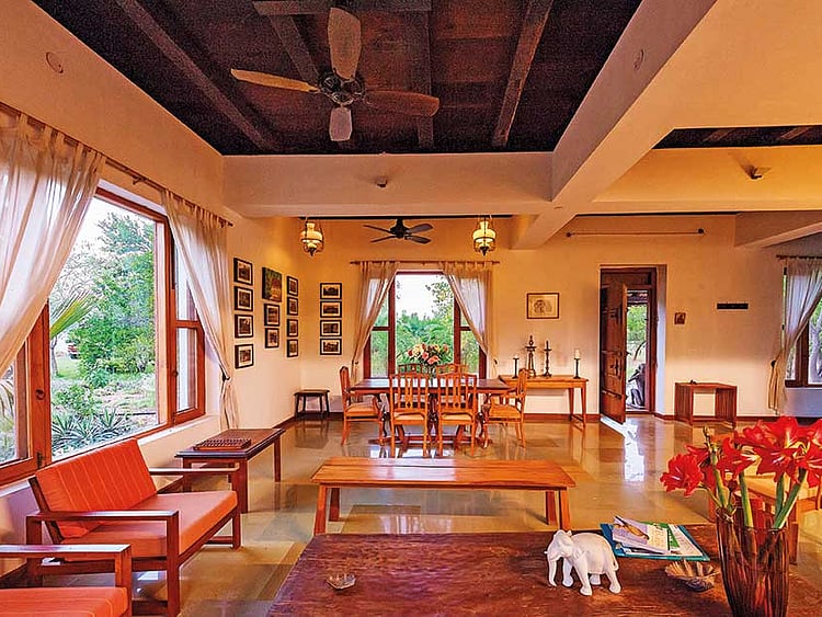 1.2029834-2792104940