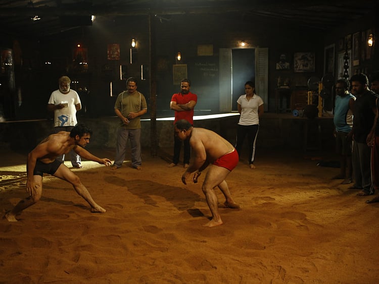 1.2032092-2238378841