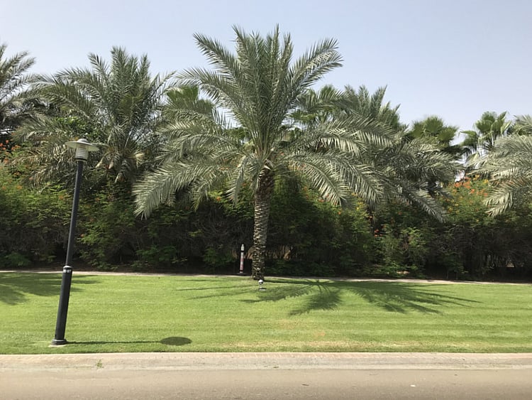 1.2032463-3992050315