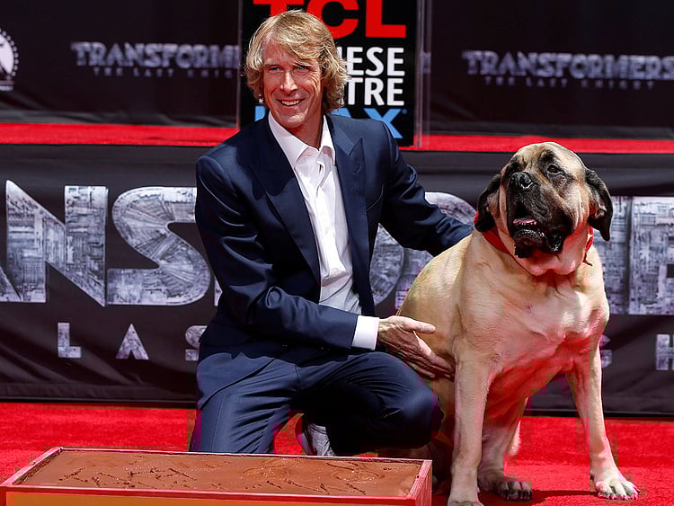 1.2032077-1332463365