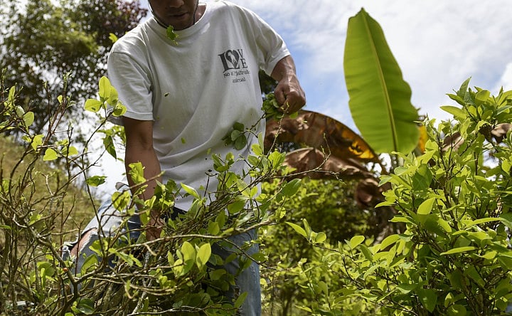 1.2032279-3594322787