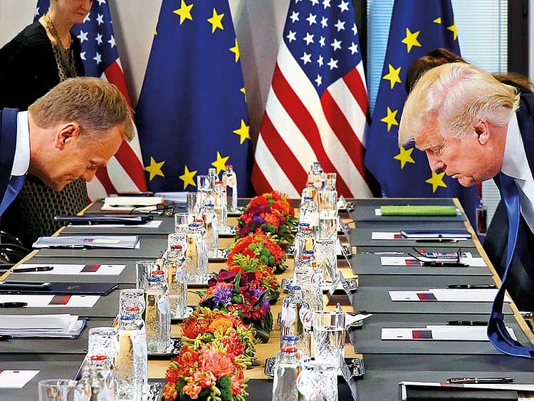 1.2033037-2946435243