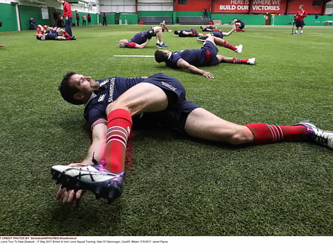 Stickland/INPHO/REX/Shutterstock